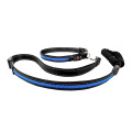 Led Illuminated Light Up Reflective Dog Leash